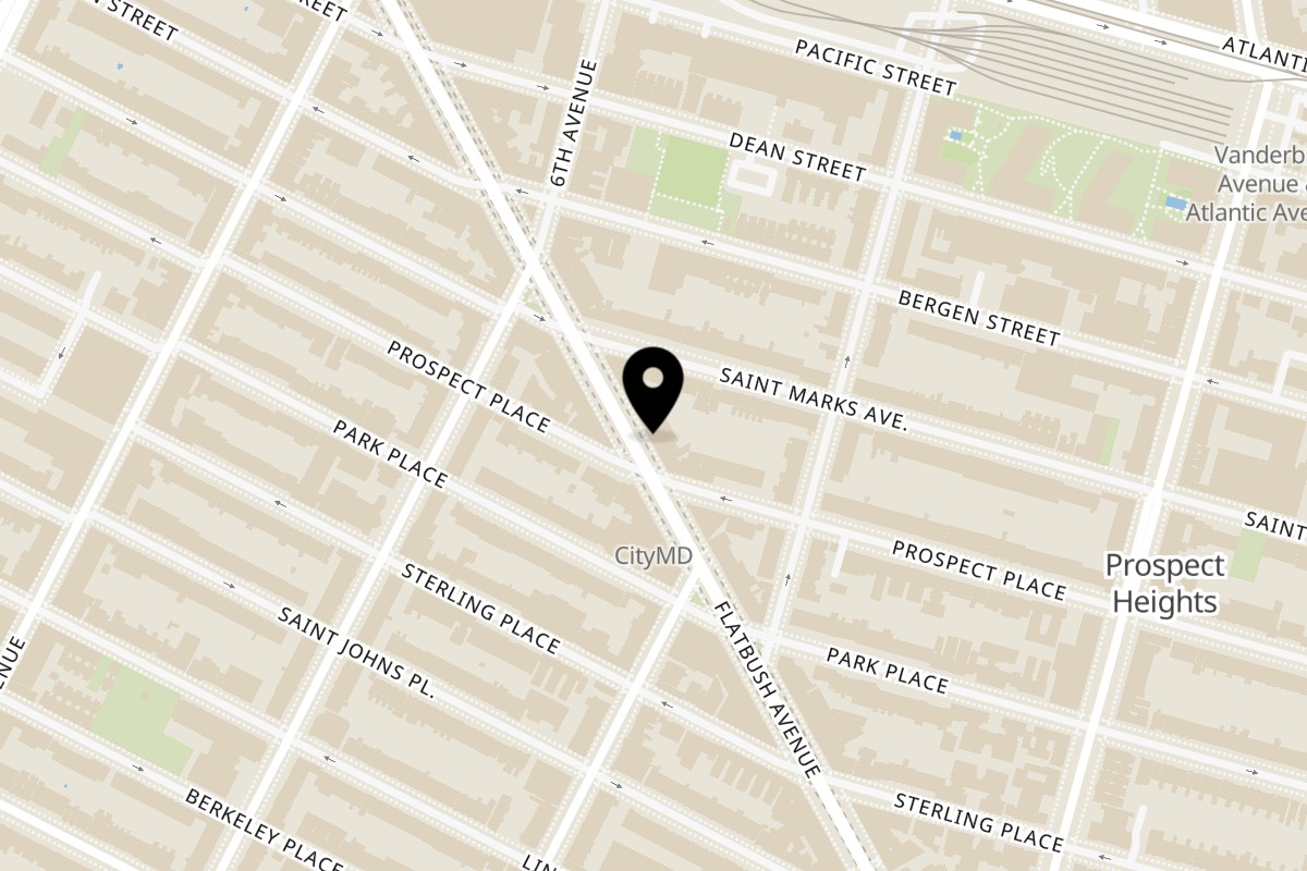 Map showing the location of Let's Go Ya Souvlakia on 295 Flatbush Ave in Brooklyn